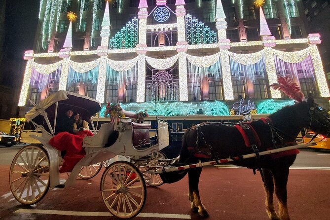 New York City Christmas Lights Private Horse Carriage Ride - Key highlights to look for