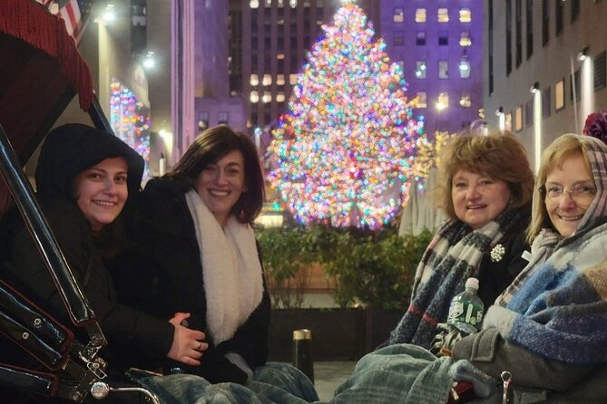 New York City Christmas Lights Private Horse Carriage Ride - Central Park South meeting point and how the ride starts