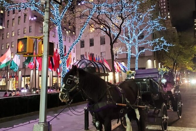 New York City Christmas Lights Private Horse Carriage Ride - St. Patrick’s Cathedral to the store windows: what to watch for