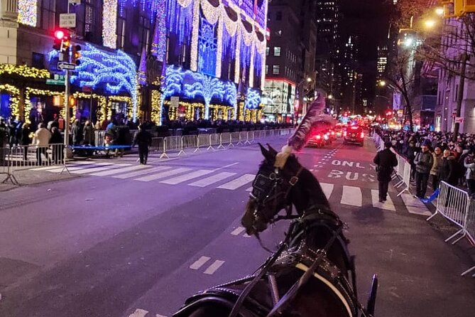 New York City Christmas Lights Private Horse Carriage Ride - Saks Fifth Avenue light show: timed viewing that saves you stress
