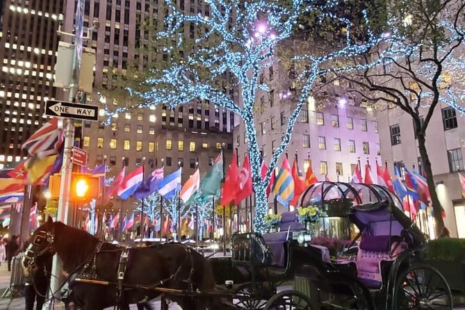 New York City Christmas Lights Private Horse Carriage Ride - Rockefeller Center Tree: the night’s biggest photo stop