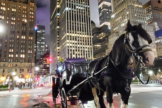 New York City Christmas Lights Private Horse Carriage Ride - Horses, guides, and the little extras that make it feel personal