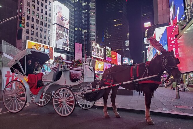New York City Christmas Lights Private Horse Carriage Ride - Price and value: what $220 buys you for 45 to 50 minutes