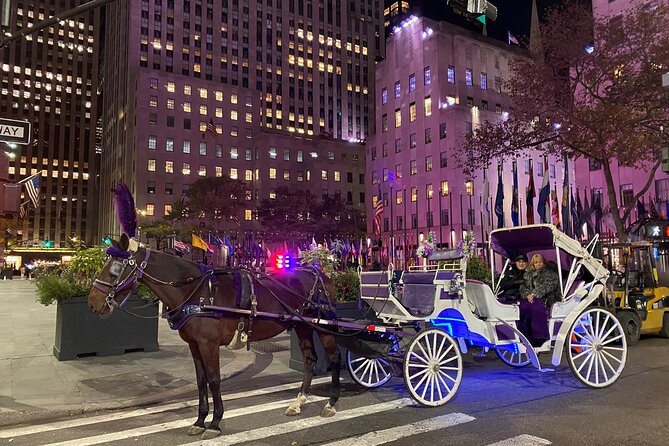 NYC : Magical Christmas Lights Private Horse Carriage Ride - Key Points to Know Before You Go