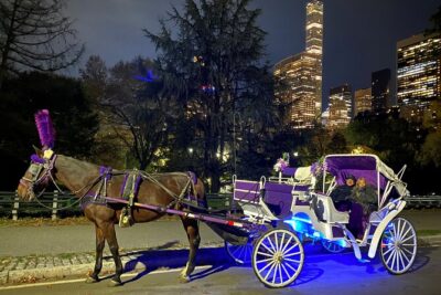 NYC : Magical Christmas Lights Private Horse Carriage Ride - What Route You’ll Actually See: Central Park and 5th Avenue Glow