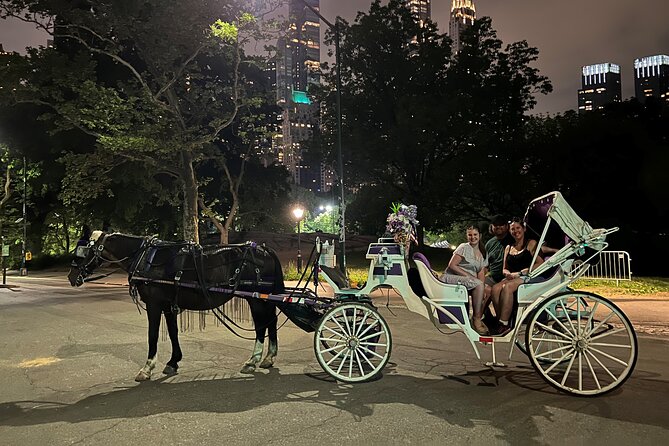 NYC : Magical Christmas Lights Private Horse Carriage Ride - Built-In Photo Time: How to Get Great Shots Without Rushing