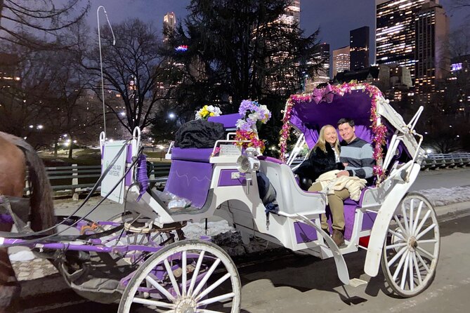 NYC : Magical Christmas Lights Private Horse Carriage Ride - Price and Value: $250 for Up to 4 (What You’re Really Buying)