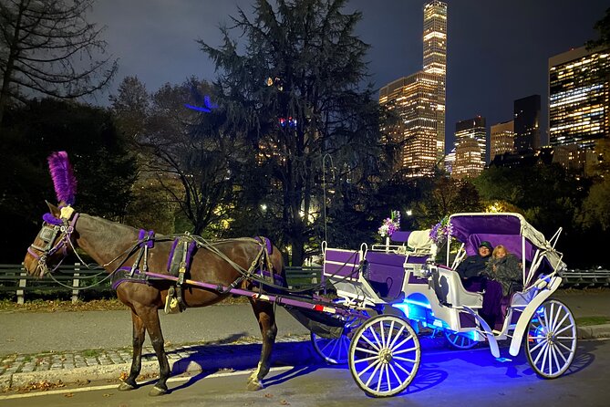 NYC : Magical Christmas Lights Private Horse Carriage Ride - What Route You’ll Actually See: Central Park and 5th Avenue Glow