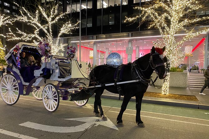 NYC Rockefeller Center Christmas Lights Horse Carriage Ride - Key Highlights You’ll Actually Care About