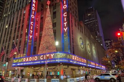 NYC Rockefeller Center Christmas Lights Horse Carriage Ride - The 7th Ave & West 59th Meeting Point: Your Starting Line