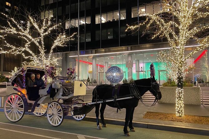 NYC Rockefeller Center Christmas Lights Horse Carriage Ride - Grand Army Plaza and 5th Avenue: Where the Lights Get Loud