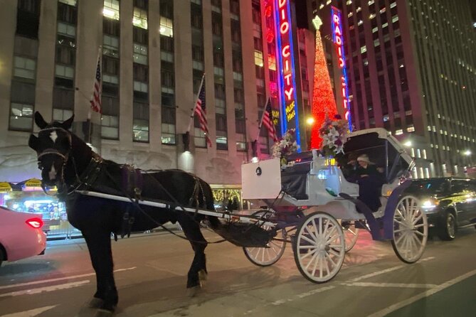 NYC Rockefeller Center Christmas Lights Horse Carriage Ride - Tiffany, Cartier, Saks, and the Luxury Strip: Fast, Fun, and Photo-Focused