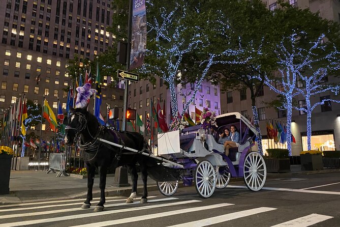 NYC Rockefeller Center Christmas Lights Horse Carriage Ride - Rockefeller Center Christmas Tree: The Quick Selfie Moment That Matters