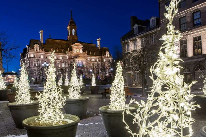 Old Montréal Small-Group Christmas Tour - Old Montréal Christmas, with a guide who actually teaches