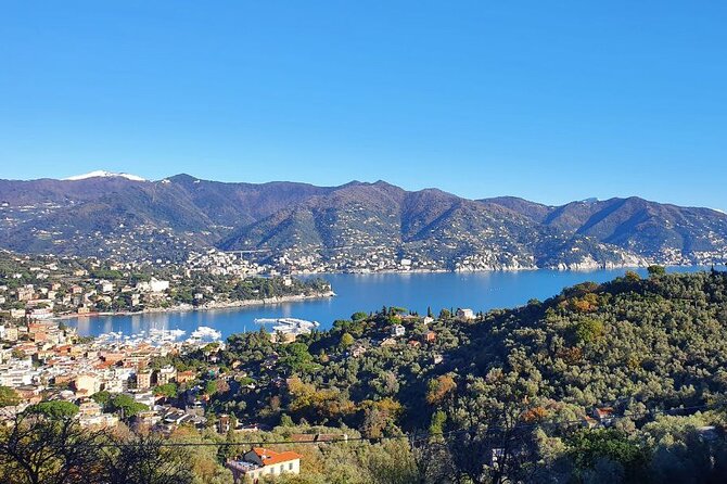 Portofino and Santa Margherita Private Tour of Ligurian Gems - Weather plan: ferries off means bus or car