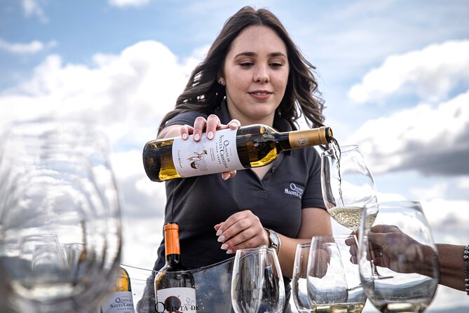 Premium Tasting | Quinta de Santa Cristina Vinho Verde - Winery Tour Inside: From Grapes Reception to Bottling and Labeling
