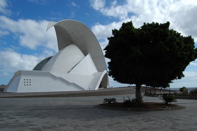 Private 4-hour Tour of Santa Cruz de Tenerife with Hotel or Cruise Port pick-up - What’s included, what you’ll pay, and how to plan