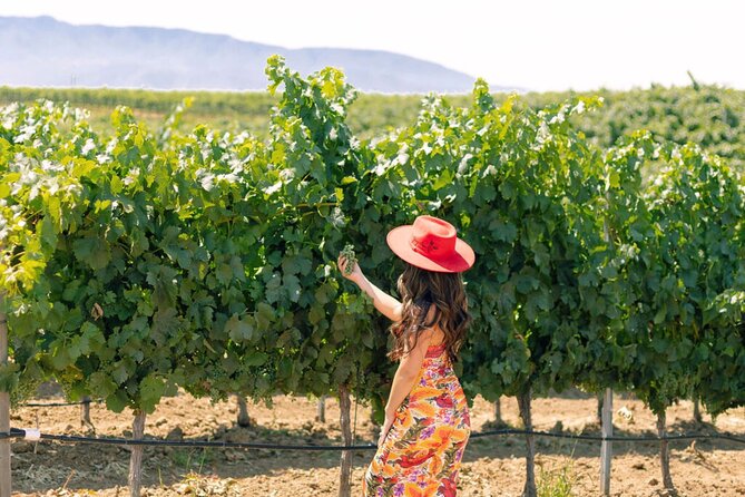 PRIVATE All-Inclusive 3-Winery Tour from Santa Barbara in S.Y.V. - Key things you’ll notice on this Santa Barbara to Santa Ynez Valley wine tour
