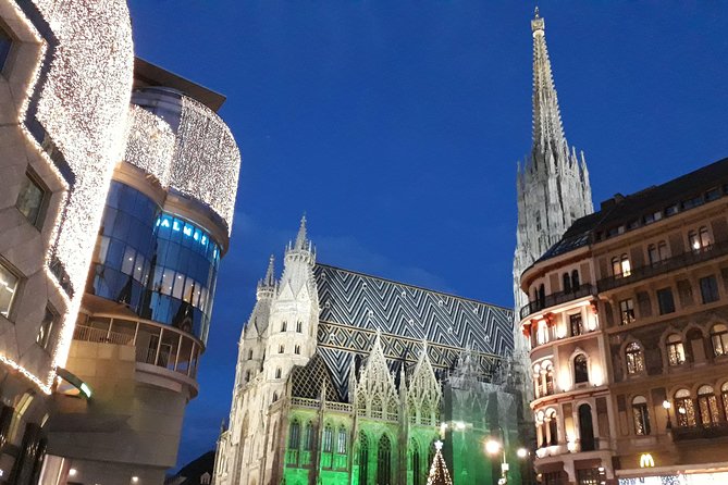 Private Christmas Markets Walking Tour Vienna - The Rathausplatz finale: City Hall lights and the big market area