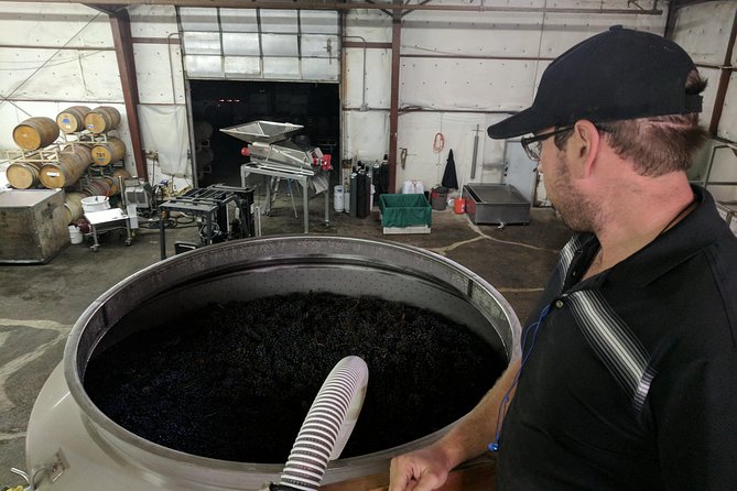 Private Group Wine Tour of Santa Barbara Wine Country - The 7-hour flow: Solvang, possible attraction breaks, then tastings