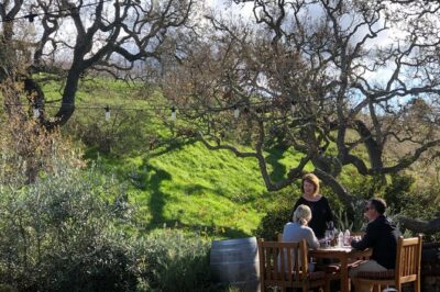 Private Guided Wine Country Tour from Santa Barbara - Stop in Santa Barbara: starting calm, building taste context