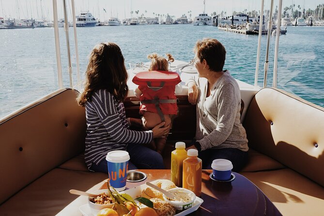 Private Harbor Cruise on Electric Boat in Santa Barbara - Price and value: $160.65 per group can be surprisingly fair