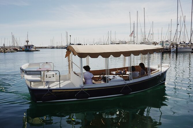 Private Harbor Cruise on Electric Boat in Santa Barbara - Your hour on the water: harbor and wharf first, Stearns Wharf if the seas cooperate