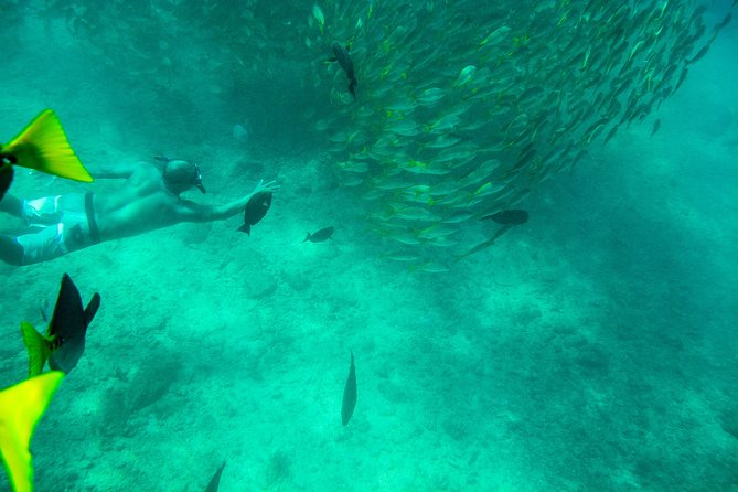 Private Los Cabos snorkeling tour to Chileno bay and Santa Maria cove - Stop 2: Chileno Bay, crystal water, and the fish variety factor