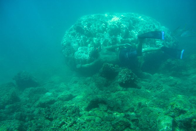 Private Los Cabos snorkeling tour to Chileno bay and Santa Maria cove - Timing in Cabo: why starting early changes everything