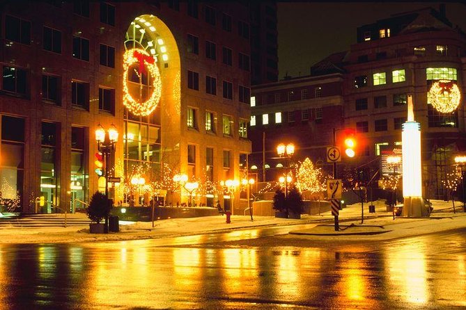 Private New York Christmas Tour with Driver and Guide - Times Square start and the custom itinerary moment