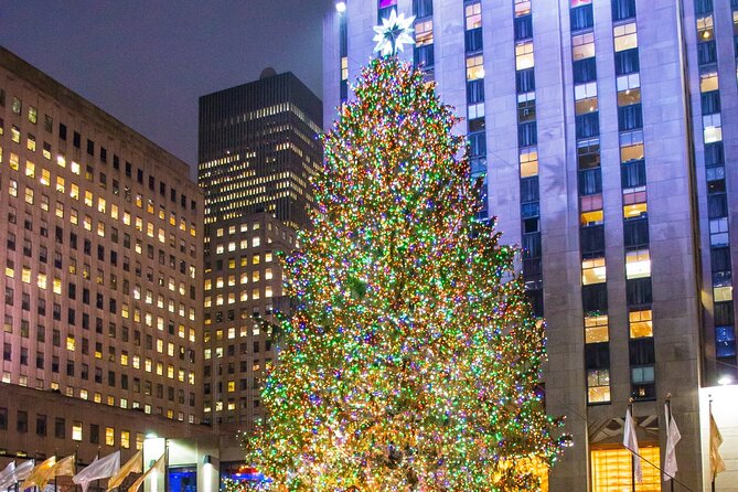 Private New York Christmas Tour with Driver and Guide - Fifth Avenue lights, Plaza tree moments, and Macy’s window theater