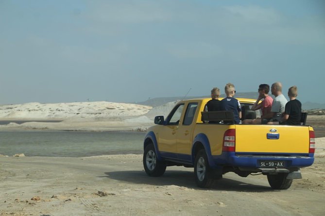 Private Sal Island Tour Authentic Experience from Santa Maria - Shark Bay: lemon sharks up close, in their environment