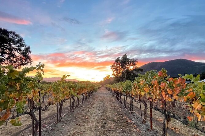 Private Santa Barbara Wine Country Vineyards & Villages Tour - Why This Private Santa Barbara Wine Country Day Works