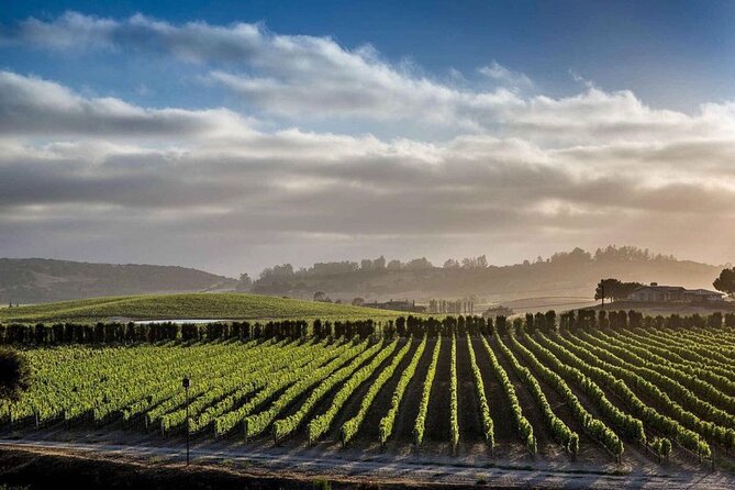 Private Santa Barbara Wine Country Vineyards & Villages Tour - Los Olivos Village Time or Another Vineyard Stop for Stop 3
