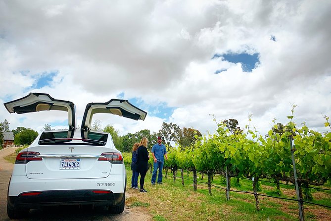Private Santa Barbara Winery and Estate Tour in Tesla SUV - Price and value: what $422 per person buys you