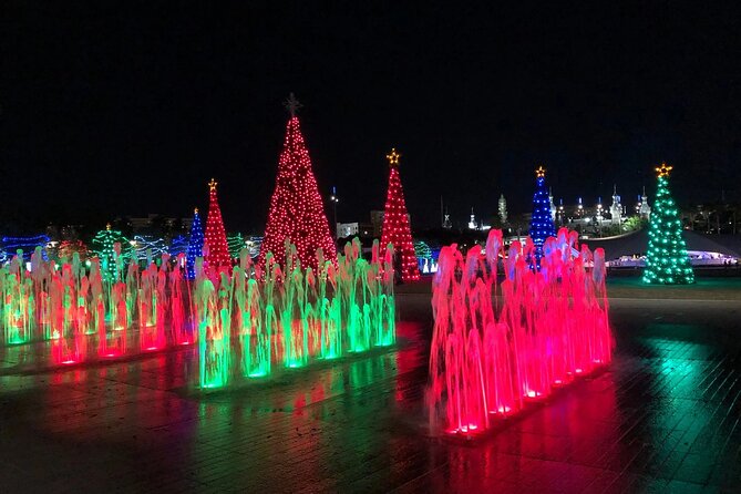 Private Tour to Christmas Winter Village, Bayshore and Hyde Park - A private Christmas lights tour in Tampa, from Curtis Hixon to Water Street