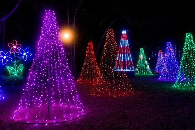 Private Tour to Christmas Winter Village, Bayshore and Hyde Park - Hyde Park Village Christmas tree pics and quick treats