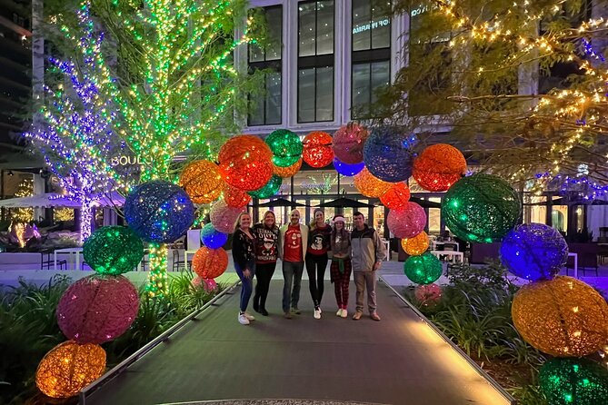 Private Tour to Christmas Winter Village, Bayshore and Hyde Park - Willow Avenue’s streetwide light theme under old-growth oak branches