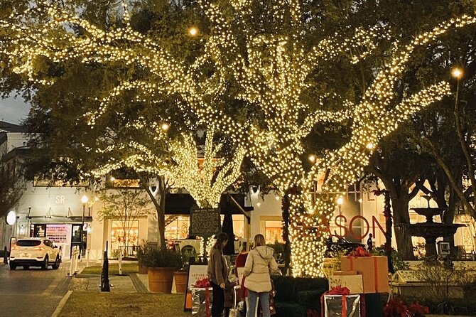 Private Tour to Christmas Winter Village, Bayshore and Hyde Park - Price and value: how $125 per group can add up in Tampa