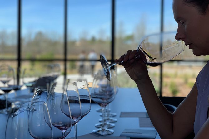 Private Wine Tasting Tour from Santa Barbara - What makes this private wine tour feel like a VIP day
