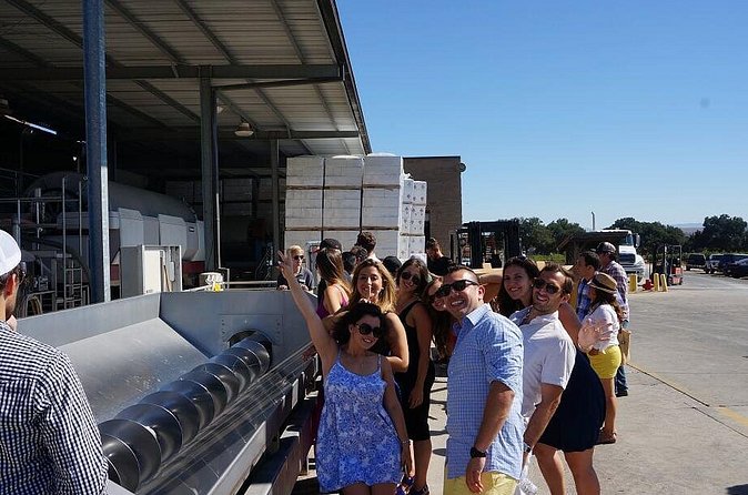 Private Wine Tasting Tour From Santa Ynez, Solvang or Buellton! - Picnic lunch: one less thing to worry about