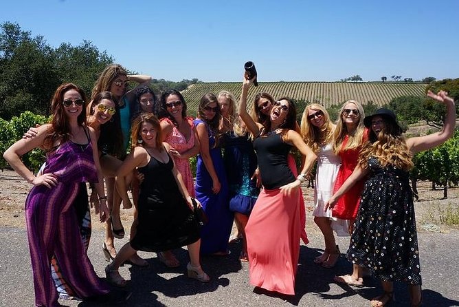 Private Wine Tasting Tour From Santa Ynez, Solvang or Buellton! - Who this tour suits best (and who should skip it)