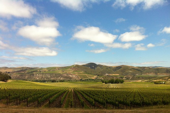 Private Wine Tour from the Santa Ynez Valley - Key Points You’ll Care About