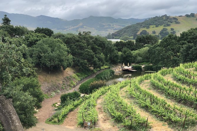 Private Wine Tour from the Santa Ynez Valley - How the Solvang-Area Wineries Experience Feels in Real Life