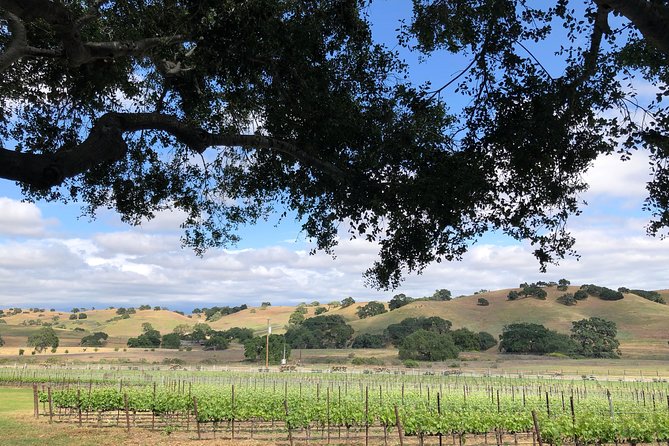 Private Wine Tour from the Santa Ynez Valley - Price and Value: When $375 Makes Sense