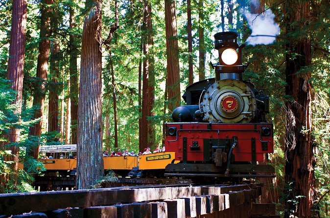 Redwood Forest, Santa Cruz Harbor 1-Day Trip from San Francisco - Price and Value: What You’re Paying For at $223