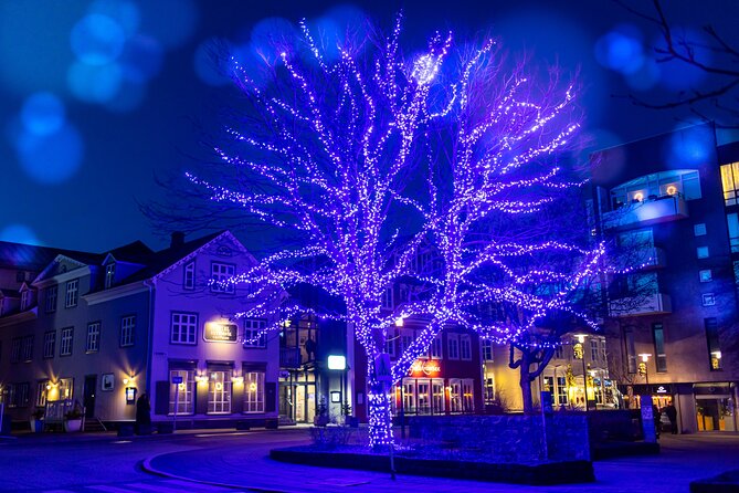 Reykjavik Christmas Walking Tour - Ingólfur Square: ice skating, holiday decorations, and the first market vibe