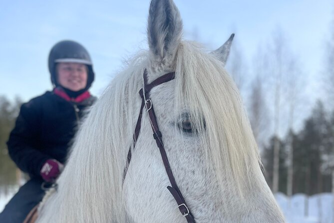 Riding Tour with Finnhorses at Santa Claus Village - Getting To Santa Claus Village’s Finnhorse Corner
