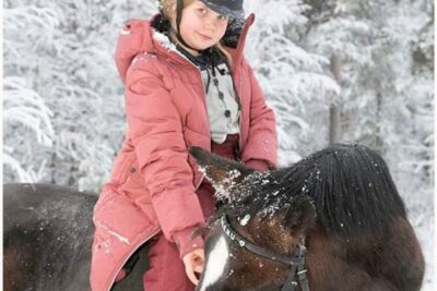 Riding Tour with Finnhorses at Santa Claus Village - What Makes This Ride Different From Typical Horse Tours