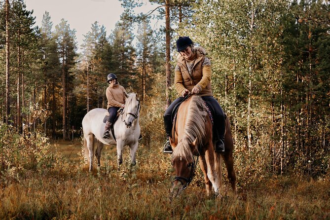 Riding Tour with Finnhorses at Santa Claus Village - Campfire Warmth: Cookies, Drinks, and Finnhorse Stories